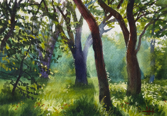 Meadow Walk IV