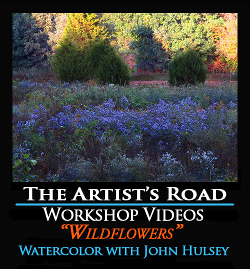Wildflowers Watercolor Workshop with John Hulsey Zoom recording